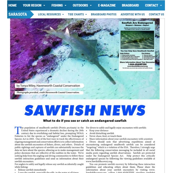 CoastalElasmos's tweet photo. Do you know what to do if you catch or see an endangered #sawfish in the United States? 

#RespectReleaseReport guidelines for anglers and divers are in the July @CAMTAMagazine. 

#SawfishNews 
https://t.co/6dNzy1vTi5 https://t.co/jhX1bHe4gc