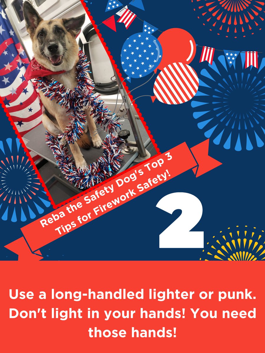 mysidewalkHQ's tweet photo. According to @SaraSaysData &amp; Reba the official mySidewalk Safety Dog, these three "hot" tips for firework safety can prevent pretty much all the bad stuff that can happen on the #FourthOfJuly https://t.co/KHVrEvZKAO