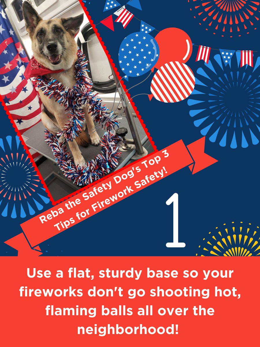 mysidewalkHQ's tweet photo. According to @SaraSaysData &amp; Reba the official mySidewalk Safety Dog, these three "hot" tips for firework safety can prevent pretty much all the bad stuff that can happen on the #FourthOfJuly https://t.co/KHVrEvZKAO