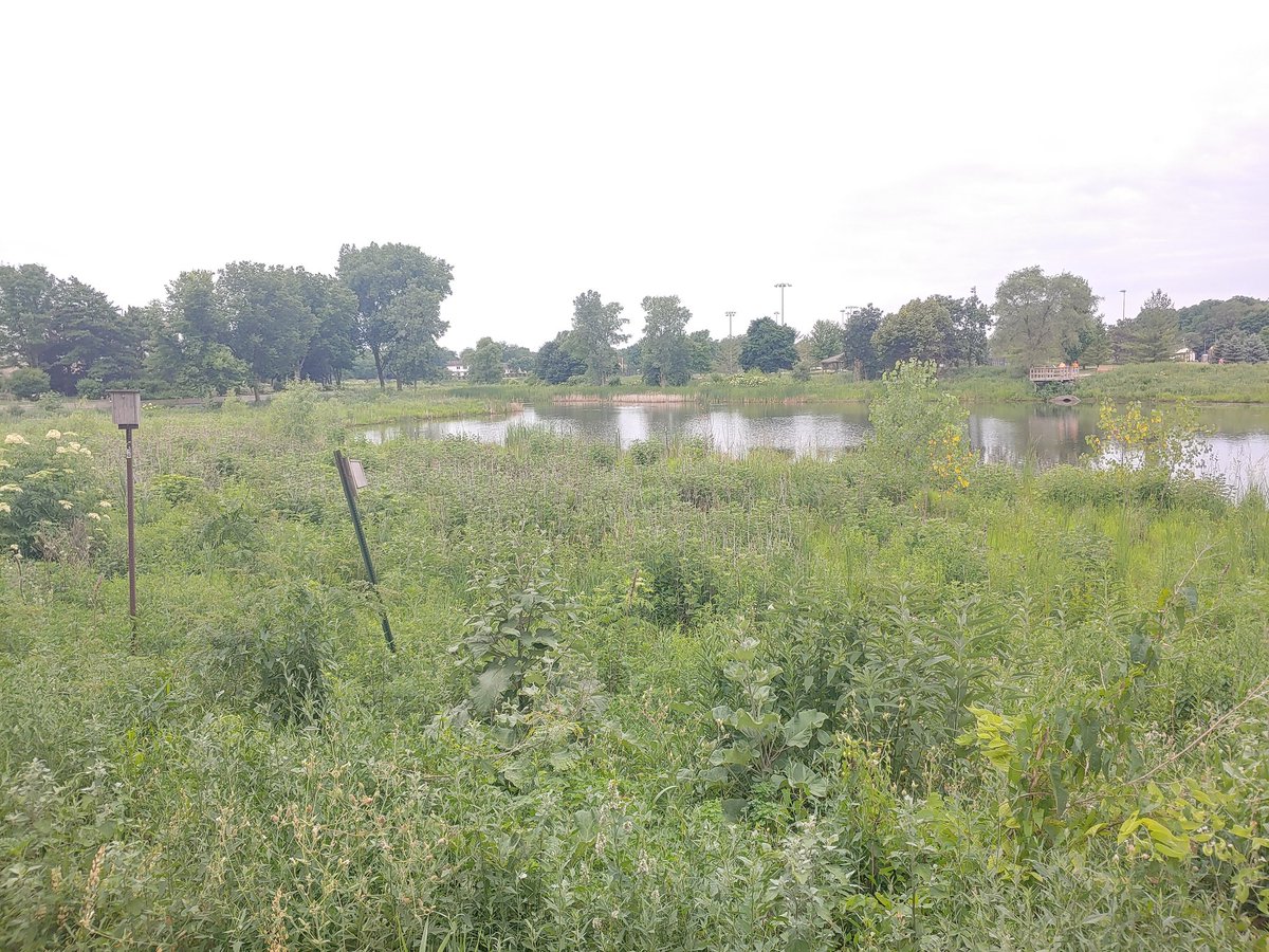 cstoll0307's tweet photo. Lovely walk this morning. Lots of green &amp; splashes of color. https://t.co/khK7pE6UiJ