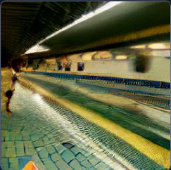 In Chapter P1 of The Monitors, the exo-anthropology student (and refugee from the palace) Molly gets some unpleasant news. #the_monitors_scifi #scifi #anthropology #craiyon
wasteflake.com/tiki-index.php…
ow.ly/XCa450JMtJS