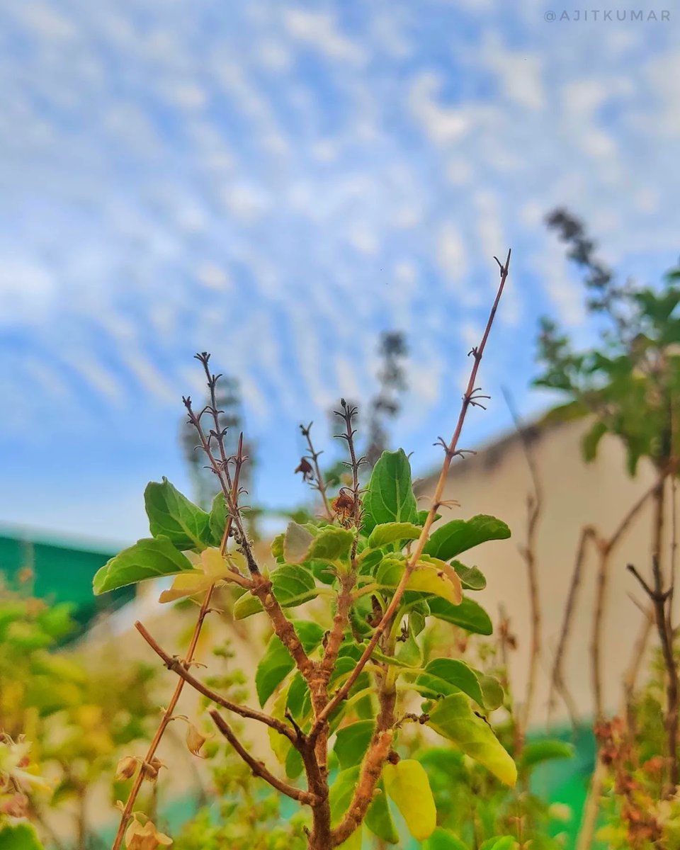 Kajit001's tweet photo. Weather is beautiful ❣️
#monsoon #sky #OnePlus https://t.co/3oTwNTSVge