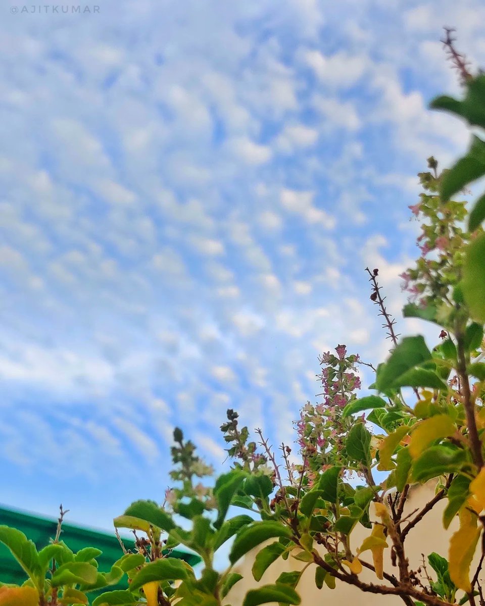 Kajit001's tweet photo. Weather is beautiful ❣️
#monsoon #sky #OnePlus https://t.co/3oTwNTSVge