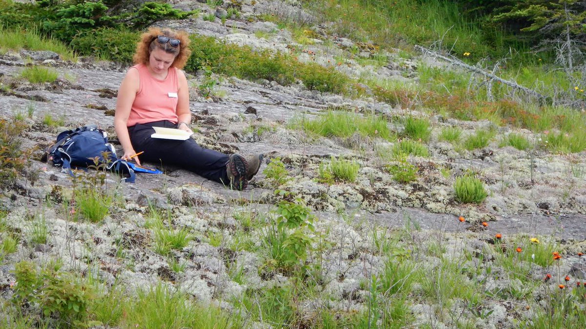 MsDelfosse's tweet photo. Just me, enjoying an afternoon with other teachers, nature journaling on the shore of Lake Superior #getoutside #teachoutdoors #natureteaching https://t.co/OVb5S4GUnD