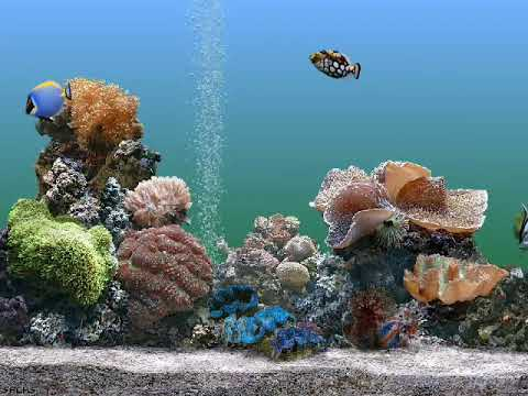 drew coffman 𝕚𝕤 𝕠𝕟𝕝𝕚𝕟𝕖 🟢 tweet media