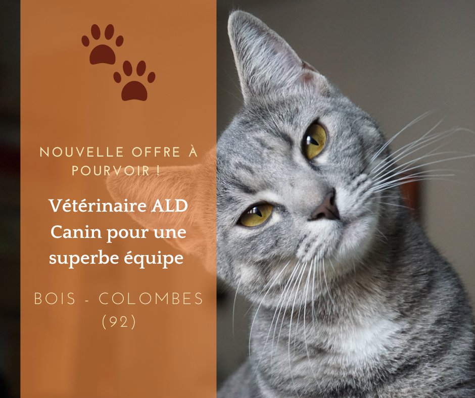 RhAxio's tweet image. Notre Clinique #recrute un(e) #vétérinaire  Canin pour compléter son équipe 🤗
Nous sommes situés dans le 92 Hauts- de- Seine. 
Nous recherchons quelqu'un qui souhaite progresser dans un environnement #bienveillant 🐱🐰