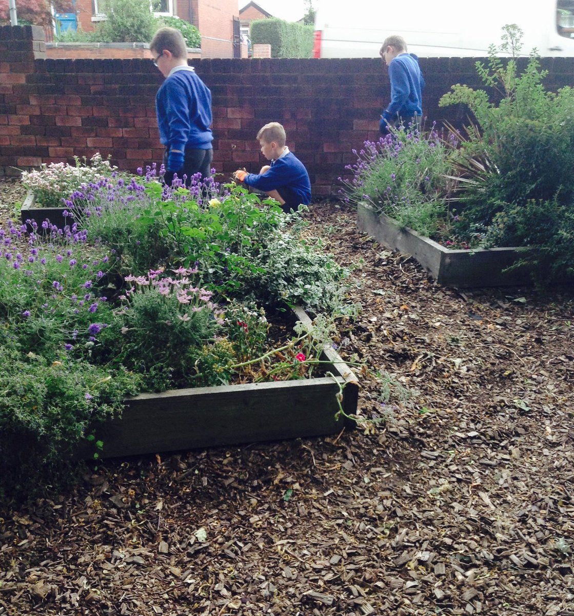 FlanshawJIN's tweet photo. In gardening club this week we spent time weeding and tidying up the welcome garden. We also planted Borage to encourage more pollinators into the wildlife garden.#activeants #ecowarriors #parentshub https://t.co/mlJ7ZHjRR4