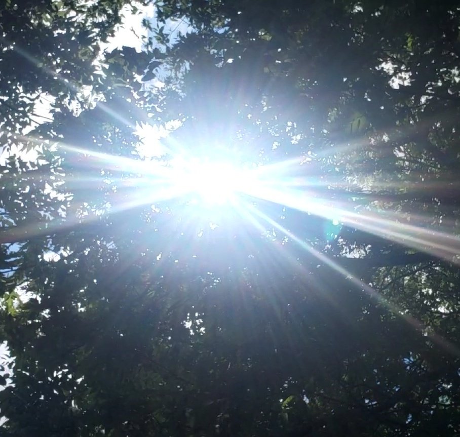 trytheupgrade's tweet image. #sunvibes 
@Caro_lines11 @clamezcua1 @DrDan2007 @travelanita1 @Lulaseraph @thelaurafaye