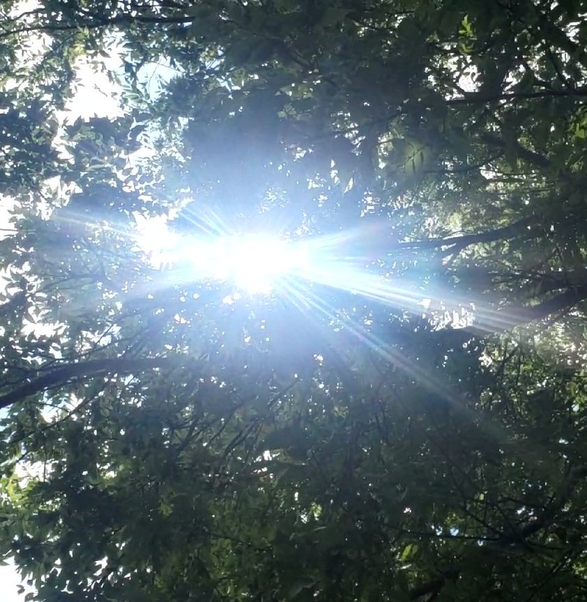 trytheupgrade's tweet image. #sunvibes 
@Caro_lines11 @clamezcua1 @DrDan2007 @travelanita1 @Lulaseraph @thelaurafaye