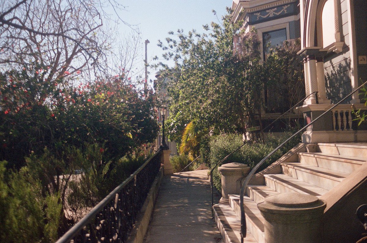 Ohlhoff Recovery tweet media