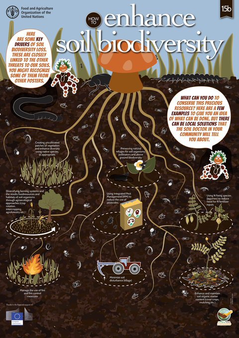UNBiodiversity's tweet photo. You might know what soil #biodiversity is and what roles it plays in ecosystems, but do you know how we can enhance it?  🪱🐌🐜🪲🌏

How many actions are you planning to take for #SoilBiodiversity and #ForNature? 🤔

🎨 Via @FAO and @EU_Commission https://t.co/oxX99qVoiT