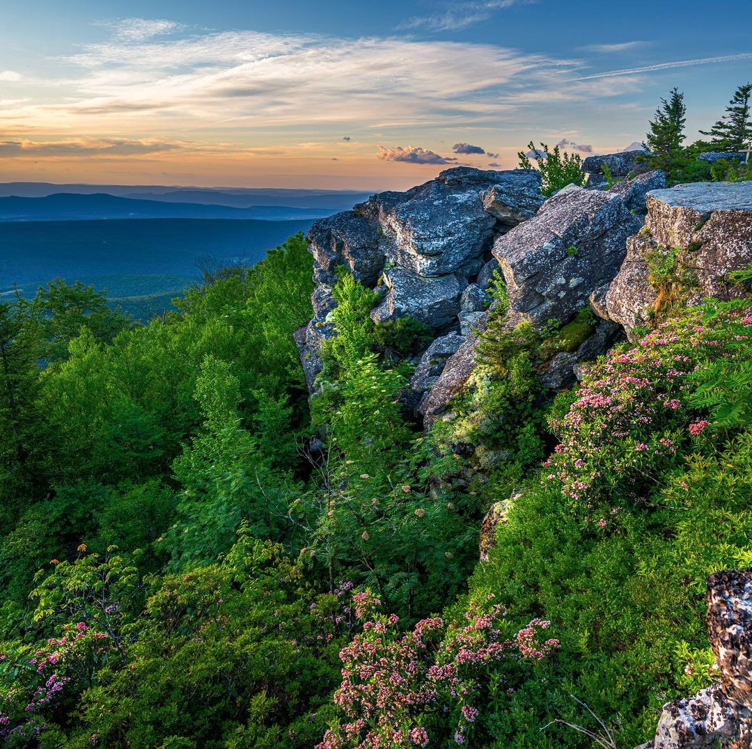 Being on the edge of the world has never looked better. 📸: instagram.com/mtnsrivs 📍: Bear Rocks Preserve