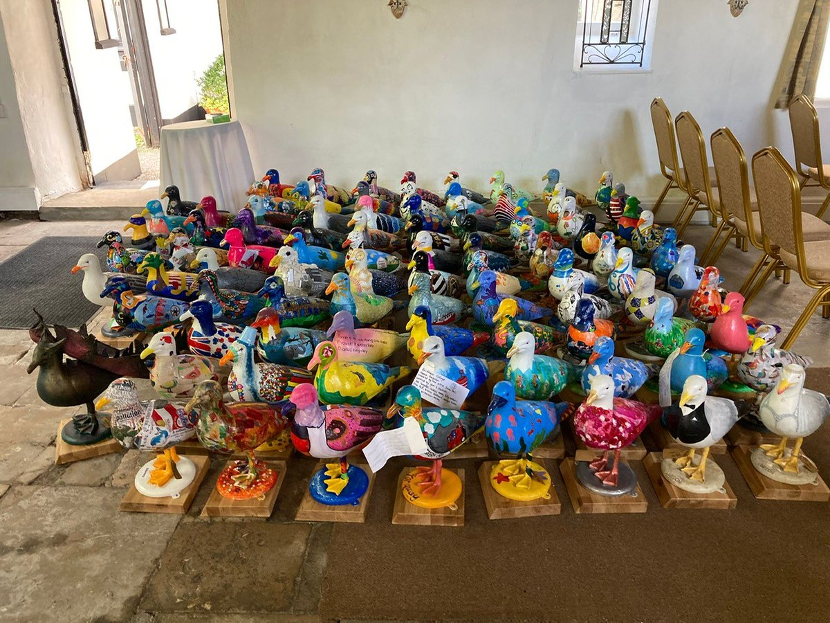 Tonic_Creatives's tweet photo. Birds off a feather, flock together...

How amazing are the gulls looking ahead off them heading off to their new homes for the summer?

There's even a Tonic Creatives one!

https://t.co/322mbhWS9c https://t.co/YVELHNxh1x