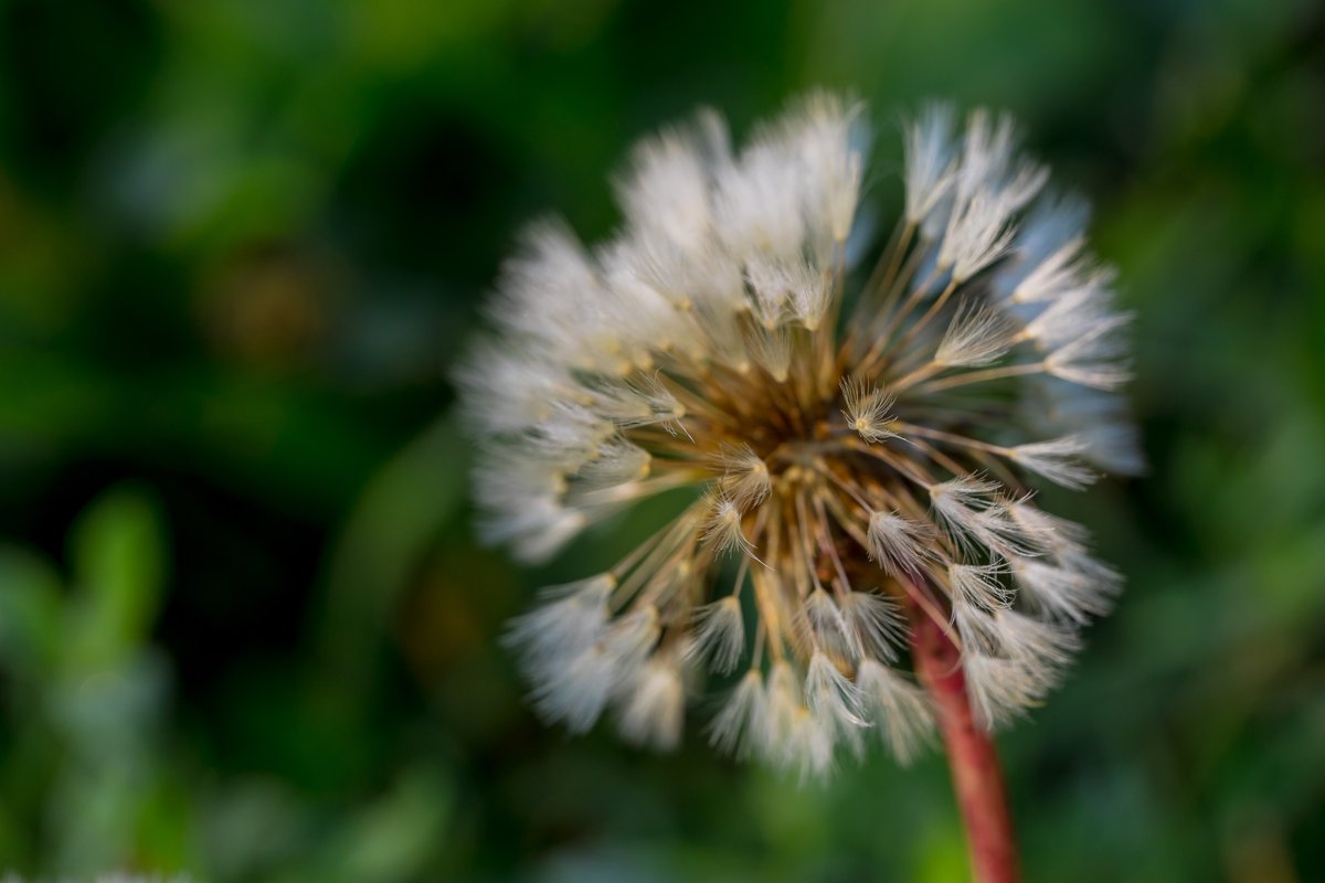 AwasosPhoto's tweet photo. https://t.co/M4m3OsDEgT