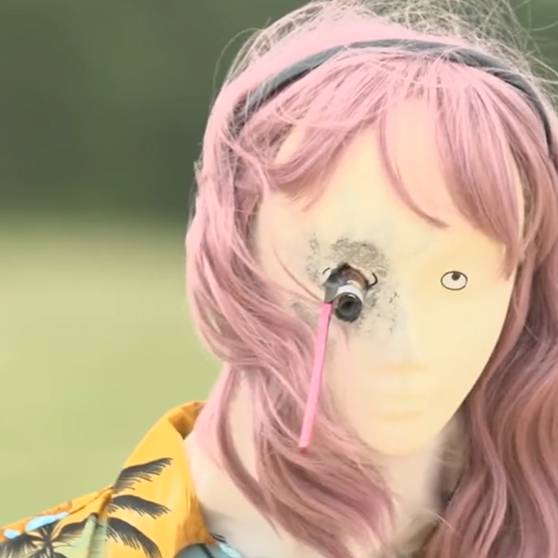 US Consumer Product Safety Commission on Twitter "Read our 2022 firework injuries and deaths