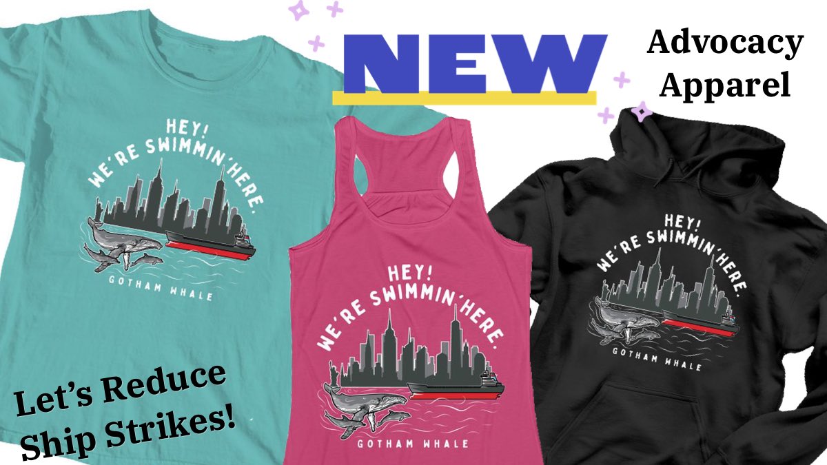 gothamwhale's tweet photo. 🚨New🚨 Humpback whales visiting our busy port are frequently observed lunge feeding near the surface. This makes them particularly vulnerable to collisions with vessel traffic. Help us raise awareness about ship strikes with our new advocacy apparel.
https://t.co/3qNkJRn5Sd https://t.co/xnOekvv2fl