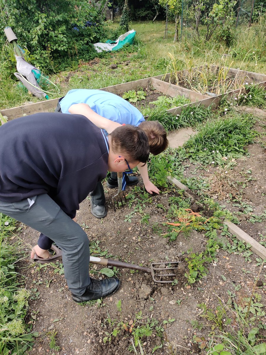 Allotment is always a great way to end the week, especially when you get free carrots!