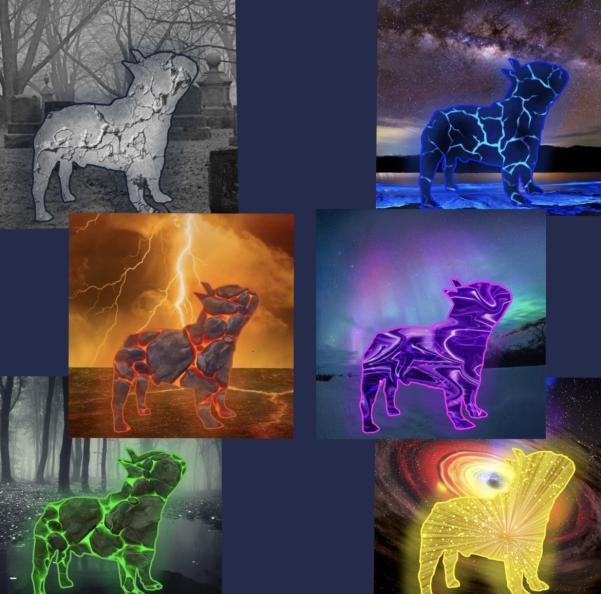 A_LIE_RETWEETED tweet media