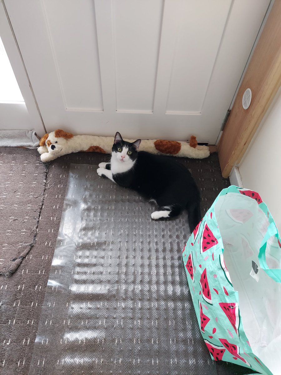 SanMac12's tweet photo. Waiting for postman https://t.co/275fhrVsEH