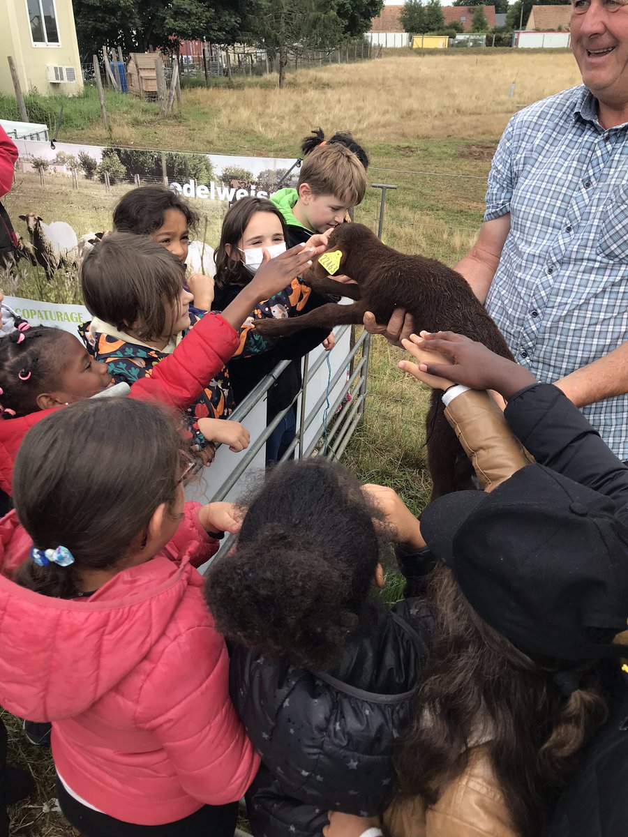 VAllonnes's tweet photo. 105 élèves de l’école élémentaire Jules Ferry à l’entreprise SCAREV pour une sortie pédagogique de sensibilisation à l’environnement.
➡️ Découverte du troupeau de moutons et du nouvel agneau avec le berger ☺️
➡️ Dégustation de miel récolté dans les ruches allonnaises
Merci 👏 https://t.co/vx1s8QJC3l
