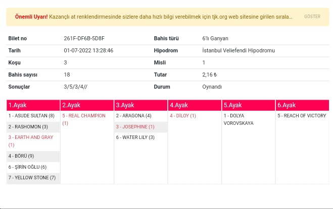 Böyle şansa dukureyim
