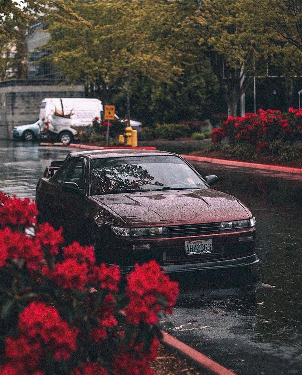 skrachers (@aesthetic_tw33t) on Twitter photo 