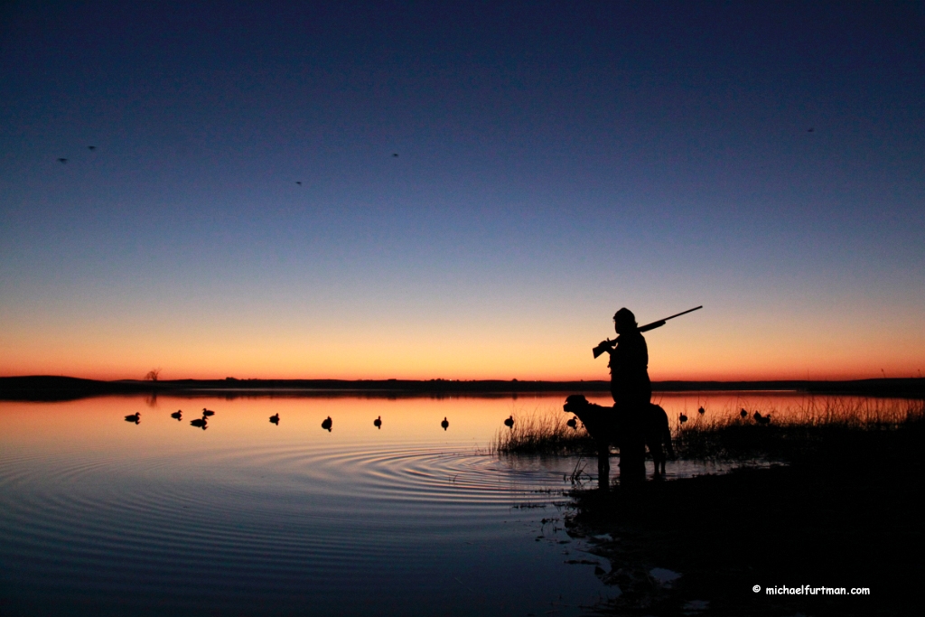 DucksUnlimited's tweet photo. Happy Birthday to the Pittman-Robertson Act! 84 years after the landmark legislation took effect, it has generated $15 billion+ for wildlife conservation.
Read why DU & a diverse group of hunting, shooting & outdoor partners are in strong support.
➡️ https://t.co/SeTtzj2Mb5 https://t.co/zu6jhbixXC