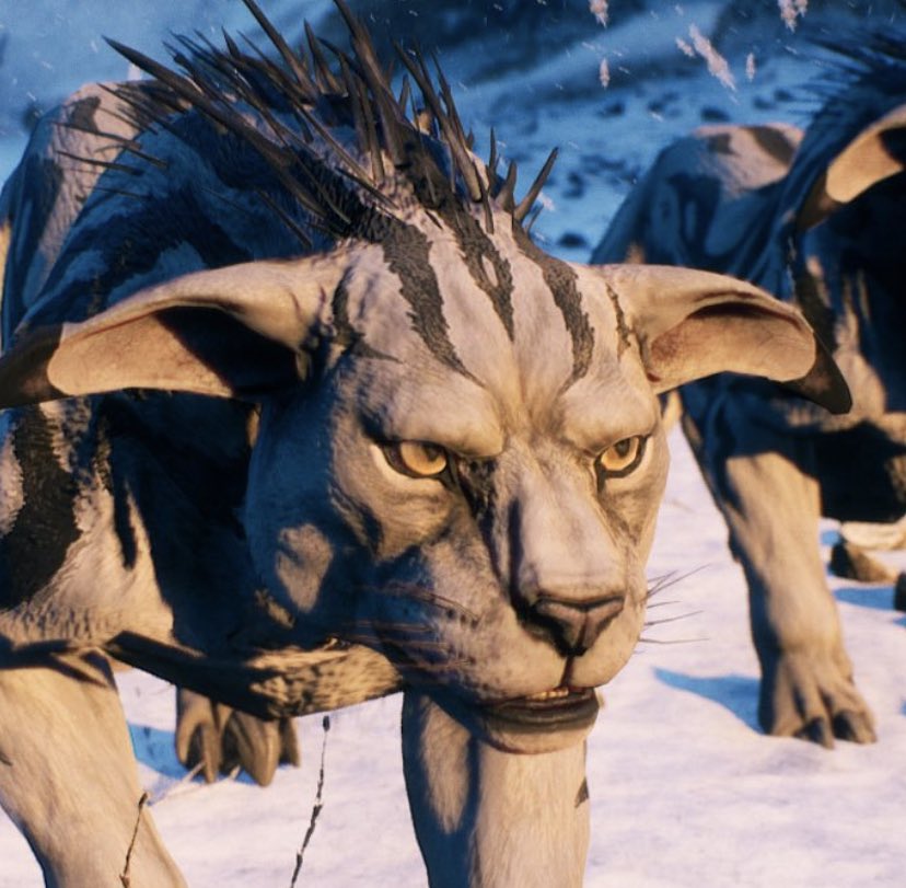 Vanguard tweet media