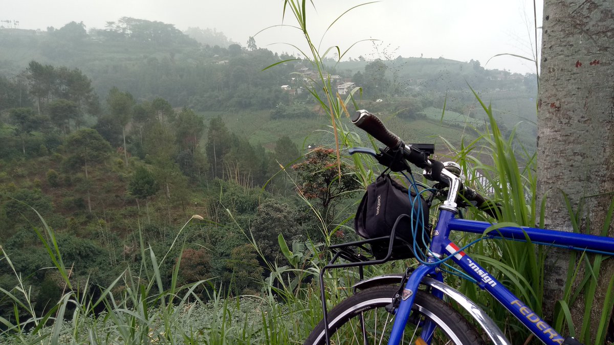 Pedal Muih tweet media