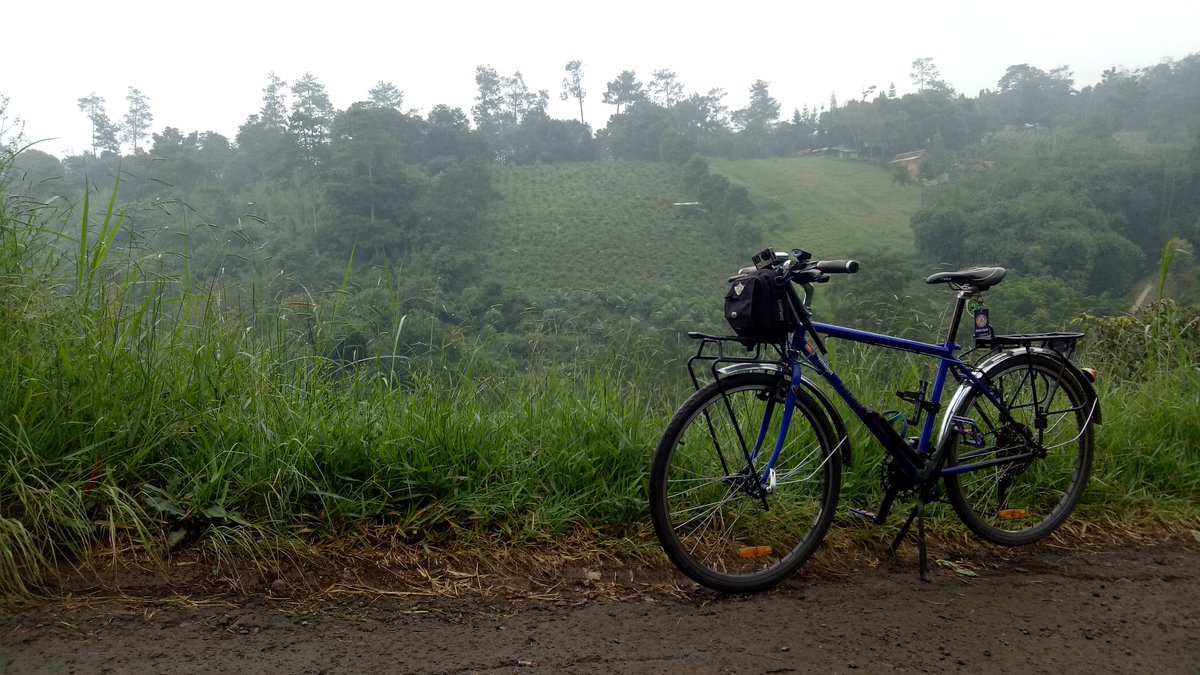 Pedal Muih tweet media