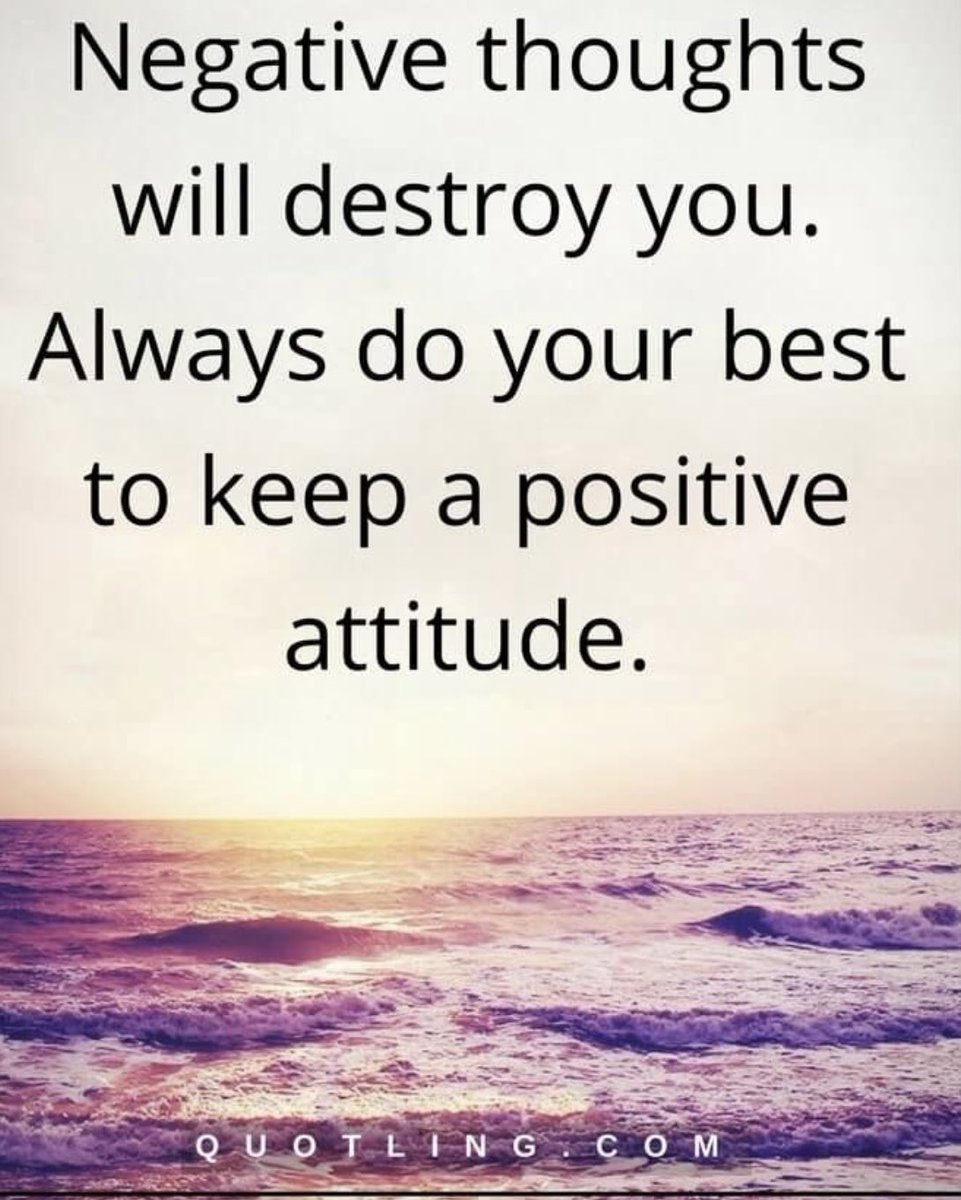 Everyday Life Quotes tweet media