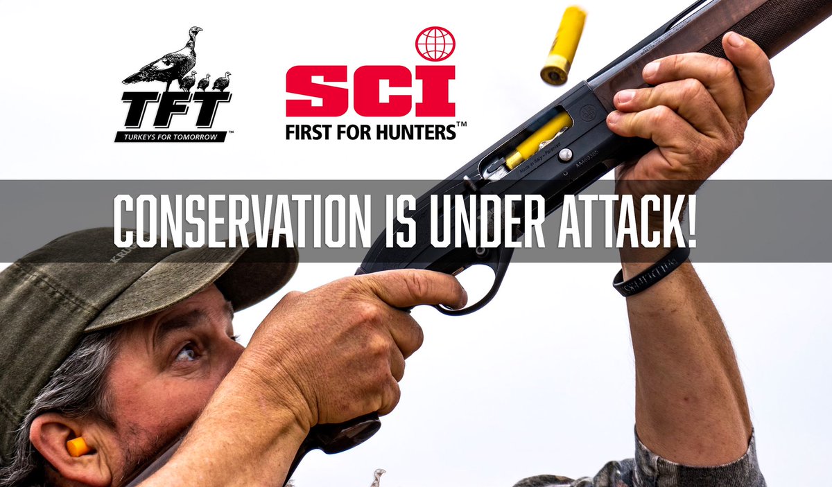 ForTurkeys's tweet photo. NEW PROPOSED BILL AIMS TO REPEAL PITTMAN-ROBERTSON ACT

Turkeys For Tomorrow encourages everyone to TAKE ACTION TODAY (link in bio) and protect conservation and your freedom to hunt!

https://t.co/fHejU6rStV https://t.co/8PoEfcULc2