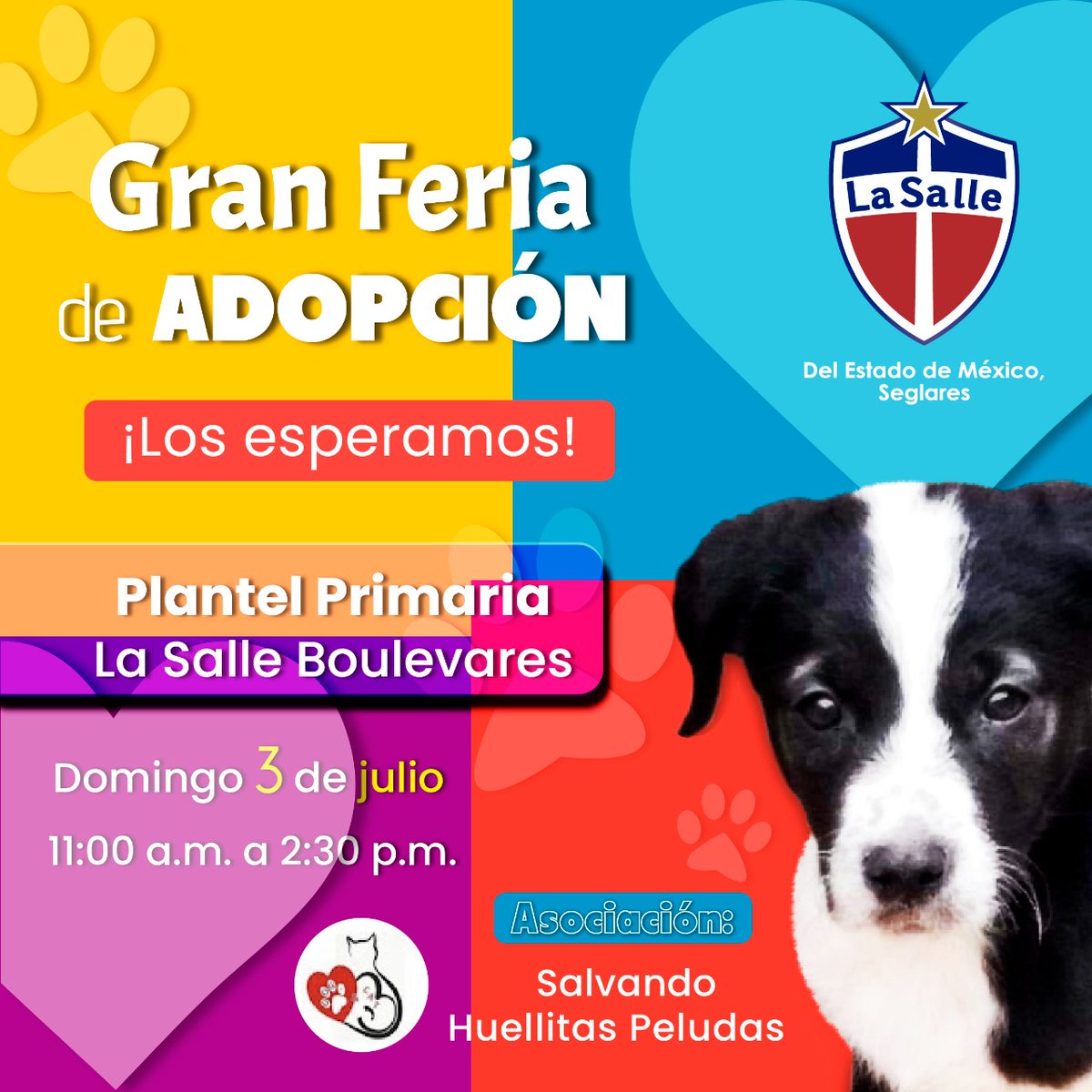 ¿Me ayudan con un retuit para que todos se enteren de la Gran Feria de Adopción? @Farandula021