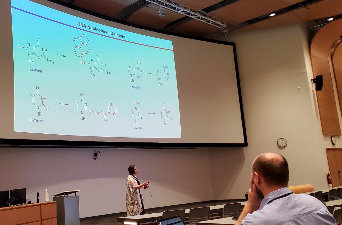 CSTCC2022's tweet photo. Robert Szilagyi, @wetmorelab, and @abrown_uofa deliver our final set of #CSTCC2022 talks! https://t.co/g8CXoZaEsQ