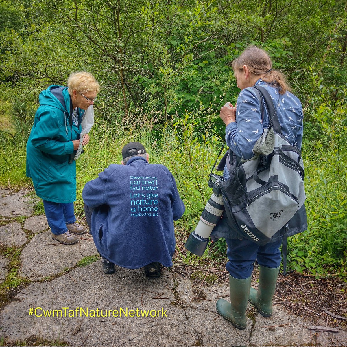 DimExcuses's tweet photo. Great day "Discovering Colliery Spoil Invertebrates" today with @olds_liam @collieryspoil and the #CwmTafNatureNetwork.
Another #BrownBandedCarderBee record. #Biodiversity https://t.co/lHMOGueCAv