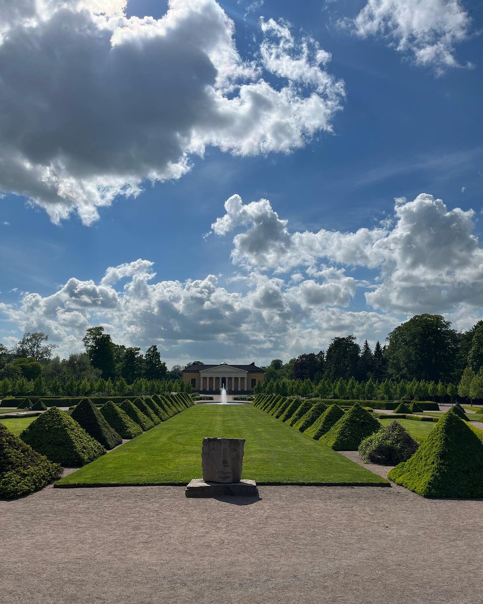 Rositirus's tweet image. Summer is here🌻🌞😎