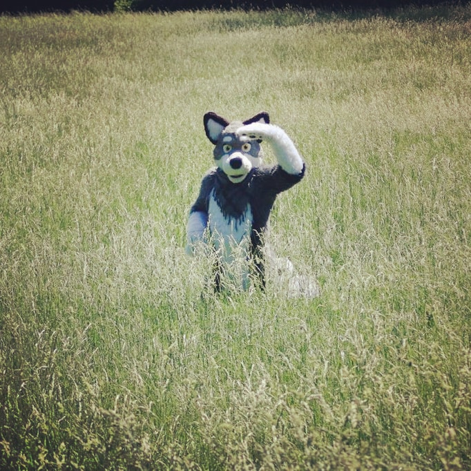 wulferthewolf's tweet photo. Is there someone who would cuddle me?
#FursuitFriday
#wolf
#wulfer
#viennawolf
Pic by @Albino_Chupa https://t.co/v3Pg4KKjXE