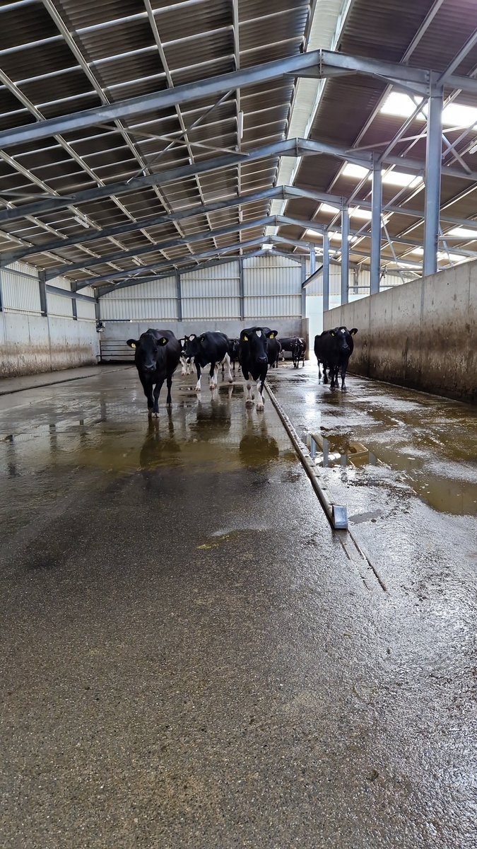 Jem Probert tweet media