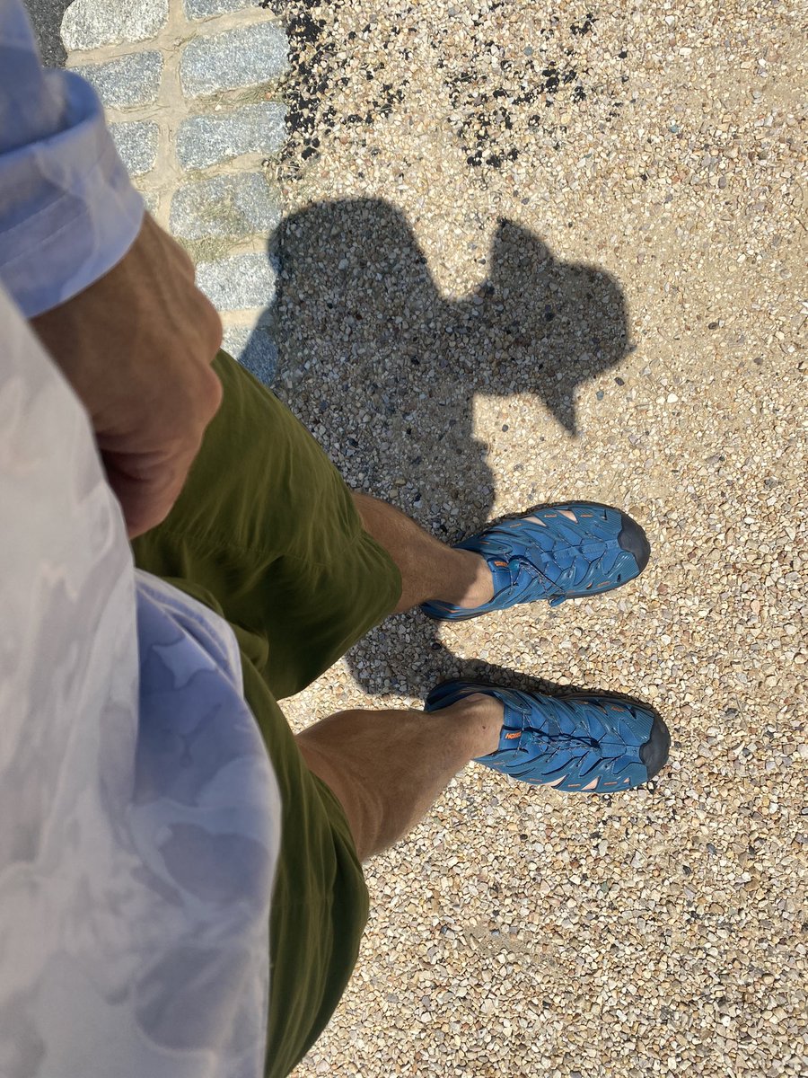 JOEL9ONE's tweet photo. #RatMode #Hoka https://t.co/FuSgacKJQc