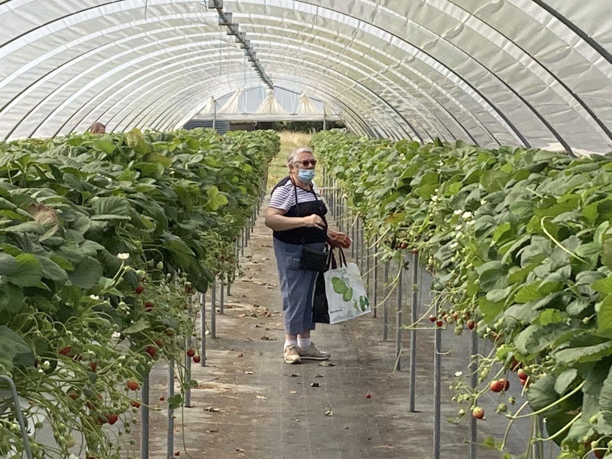 SeniorialesStAvertin tweet media