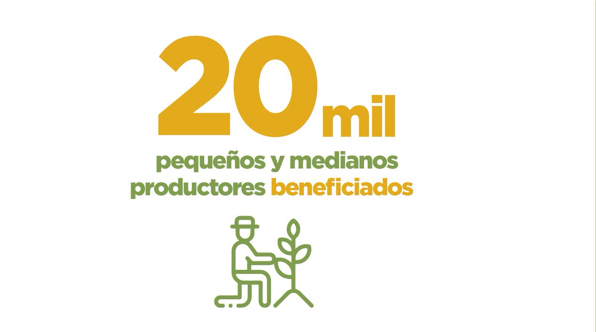 AgriculturaEc's tweet photo. ¡Iniciamos el ciclo de verano del #PlanSemilla!
Desde hoy iniciamos la ejecución de este Plan, con el que beneficiaremos a más de 20 mil productores con la entrega de semillas e insumos agrícolas que ayuden a mejorar la productividad de sus cultivos.
#JuntosPorElAgro https://t.co/L0zsAbUd9M