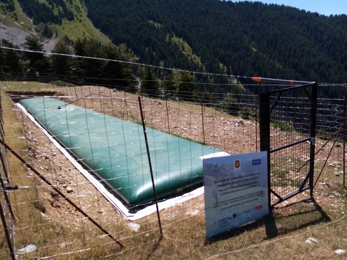 Aujourd'hui, visite à la vacherie de Marie 🐂 pour inaugurer les travaux d'amélioration de l'approvisionnement en eau💧, indispensable dans ce contexte de sécheresse.
Merci à l'ensemble des partenaires du projet ! 
<a href="/MetropoleNCA/">Métropole Nice Côte d'Azur</a>
#chambreagriculture06
@CerpamPaca
<a href="/InterregALCOTRA/">Interreg ALCOTRA</a>