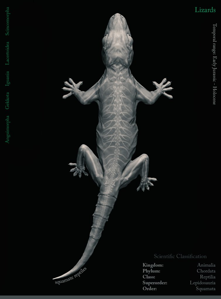 SenSouren's tweet photo. Asian House Gecko

@TheRookiesCO
@Substance3D
@marmosetco 
@pixologic 
@ArtStationHQ 
@MarvelStudios 

#3D #3dmodeling #gamedesign #anatomy #lizard #gecko #conceptart #sculpting #zbrush #texture #render #3Dartist https://t.co/X3MpsOydXw