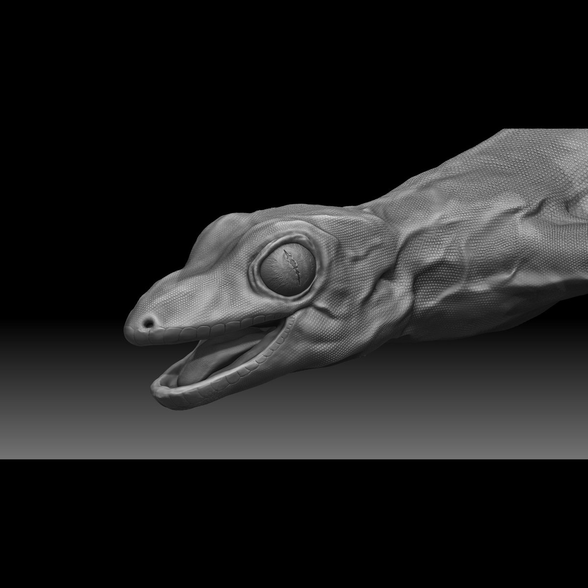 SenSouren's tweet photo. Asian House Gecko

@TheRookiesCO
@Substance3D
@marmosetco 
@pixologic 
@ArtStationHQ 
@MarvelStudios 

#3D #3dmodeling #gamedesign #anatomy #lizard #gecko #conceptart #sculpting #zbrush #texture #render #3Dartist https://t.co/X3MpsOydXw