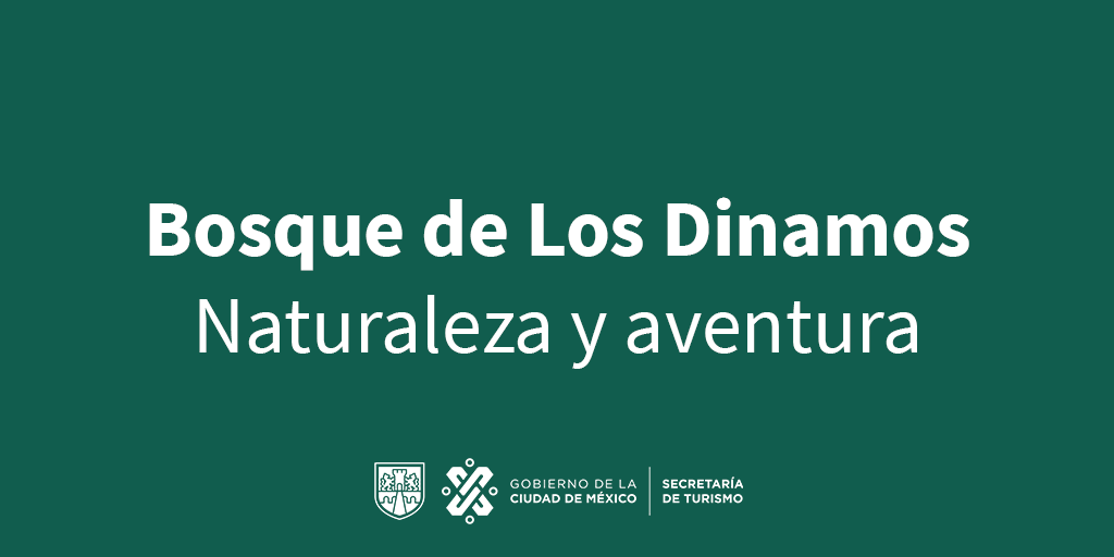turismocdmx's tweet photo. ¿Sabes dónde se encuentra el único río vivo de la #CiudadDeMéxico? 👀

¡En el Bosque de los Dinamos! En este sitio al #AireLibre, disfrutarás de grandes experiencias  como:  Montañismo⛰️, Rappel, Bici de montaña🚵, y más.🤩

Vive una nueva aventura en #LaCiudadQueLoTieneTodo 😉 https://t.co/nN4YAO6jiD