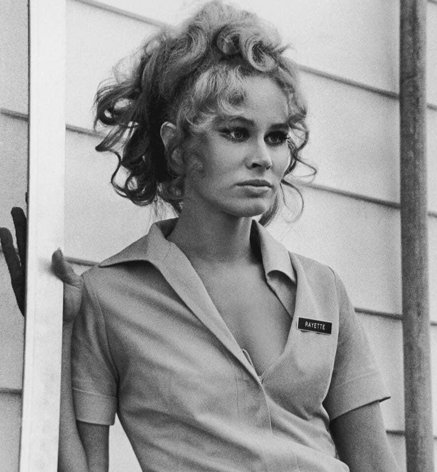 Happy birthday Karen Black. Still shot from Five Easy Pieces. One of my all time favorite films. 