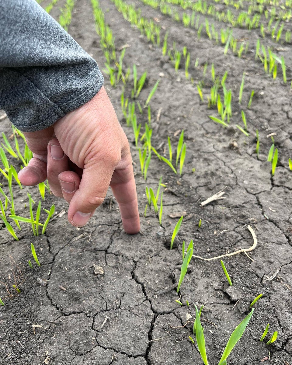 Jason Hanson tweet media