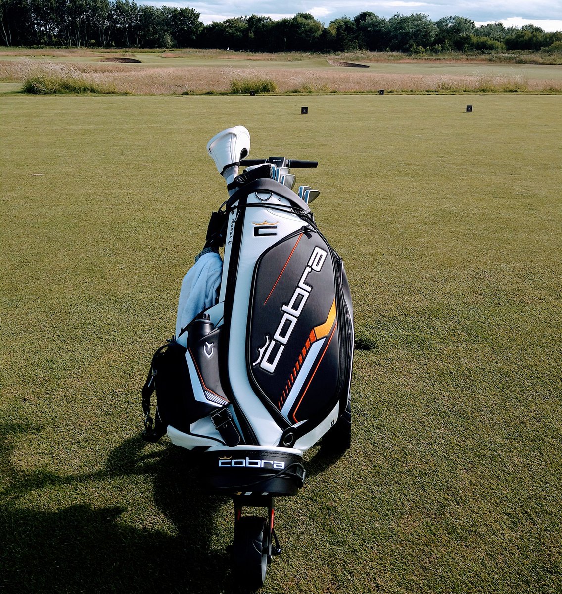 Sean Bailey tweet media