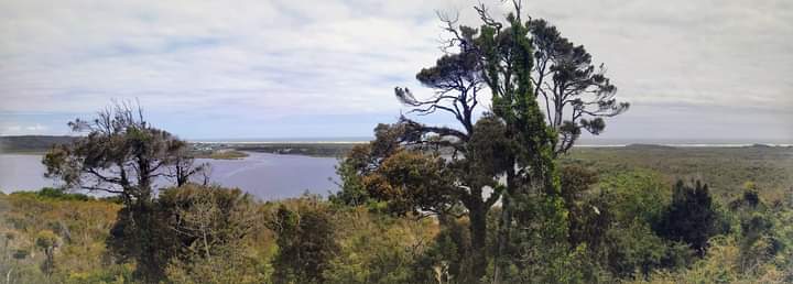 SocialInsular's tweet photo. Hoy en terreno #Huentemo - #Cucao con vista al océano pacífico en nuestro #Chiloe, dónde el "privilegio" de la personas que ahí viven, es la tranquilidad que entrega escuchar solo el viento interrumpiendo el silencio, acompañados por la naturaleza que te abraza.
#RechazoDeSalida https://t.co/hUb3wJHv83