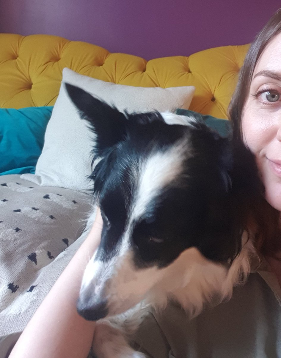 bella_collie's tweet photo. Sometimes I like to be a parrot and lean on mums shoulder when she's sitting on the floor....and then give her surprise kisses! She did not see that coming #dogsoftwitter #dogs #bordercollie https://t.co/NDWpkEBJU8